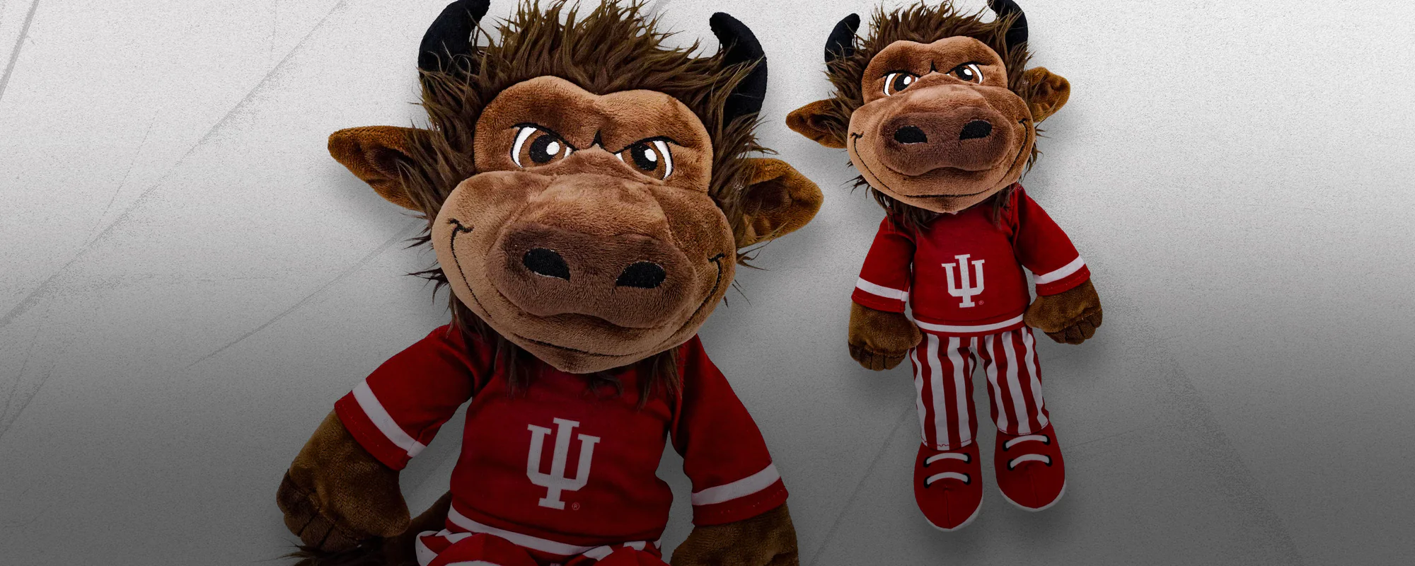 Welcome to Our Store